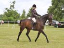 Image 155 in BECCLES AND BUNGAY RIDING CLUB OPEN SHOW. 17 JUNE 2018
