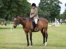 Image 156 in BECCLES AND BUNGAY RIDING CLUB OPEN SHOW. 17 JUNE 2018