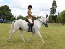 Image 158 in BECCLES AND BUNGAY RIDING CLUB OPEN SHOW. 17 JUNE 2018