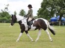 Image 161 in BECCLES AND BUNGAY RIDING CLUB OPEN SHOW. 17 JUNE 2018