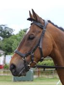 Image 164 in BECCLES AND BUNGAY RIDING CLUB OPEN SHOW. 17 JUNE 2018