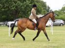 Image 166 in BECCLES AND BUNGAY RIDING CLUB OPEN SHOW. 17 JUNE 2018