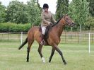 Image 167 in BECCLES AND BUNGAY RIDING CLUB OPEN SHOW. 17 JUNE 2018