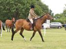 Image 168 in BECCLES AND BUNGAY RIDING CLUB OPEN SHOW. 17 JUNE 2018