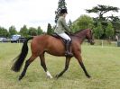 Image 170 in BECCLES AND BUNGAY RIDING CLUB OPEN SHOW. 17 JUNE 2018
