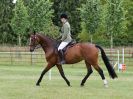 Image 171 in BECCLES AND BUNGAY RIDING CLUB OPEN SHOW. 17 JUNE 2018