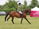 Image 172 in BECCLES AND BUNGAY RIDING CLUB OPEN SHOW. 17 JUNE 2018