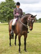Image 174 in BECCLES AND BUNGAY RIDING CLUB OPEN SHOW. 17 JUNE 2018