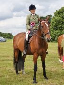 Image 175 in BECCLES AND BUNGAY RIDING CLUB OPEN SHOW. 17 JUNE 2018