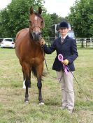 Image 181 in BECCLES AND BUNGAY RIDING CLUB OPEN SHOW. 17 JUNE 2018