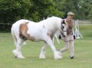 Image 183 in BECCLES AND BUNGAY RIDING CLUB OPEN SHOW. 17 JUNE 2018