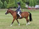 Image 184 in BECCLES AND BUNGAY RIDING CLUB OPEN SHOW. 17 JUNE 2018