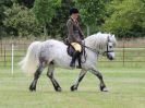 Image 185 in BECCLES AND BUNGAY RIDING CLUB OPEN SHOW. 17 JUNE 2018