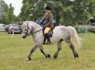 Image 186 in BECCLES AND BUNGAY RIDING CLUB OPEN SHOW. 17 JUNE 2018