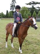 Image 188 in BECCLES AND BUNGAY RIDING CLUB OPEN SHOW. 17 JUNE 2018