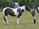 Image 189 in BECCLES AND BUNGAY RIDING CLUB OPEN SHOW. 17 JUNE 2018