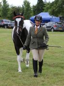 Image 190 in BECCLES AND BUNGAY RIDING CLUB OPEN SHOW. 17 JUNE 2018