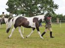 Image 191 in BECCLES AND BUNGAY RIDING CLUB OPEN SHOW. 17 JUNE 2018