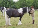 Image 193 in BECCLES AND BUNGAY RIDING CLUB OPEN SHOW. 17 JUNE 2018