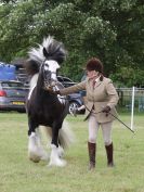 Image 194 in BECCLES AND BUNGAY RIDING CLUB OPEN SHOW. 17 JUNE 2018