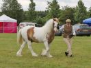 Image 198 in BECCLES AND BUNGAY RIDING CLUB OPEN SHOW. 17 JUNE 2018
