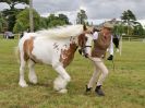 Image 199 in BECCLES AND BUNGAY RIDING CLUB OPEN SHOW. 17 JUNE 2018