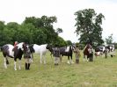 Image 200 in BECCLES AND BUNGAY RIDING CLUB OPEN SHOW. 17 JUNE 2018