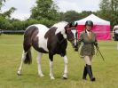 Image 201 in BECCLES AND BUNGAY RIDING CLUB OPEN SHOW. 17 JUNE 2018