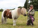 Image 205 in BECCLES AND BUNGAY RIDING CLUB OPEN SHOW. 17 JUNE 2018