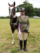 Image 206 in BECCLES AND BUNGAY RIDING CLUB OPEN SHOW. 17 JUNE 2018