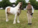 Image 207 in BECCLES AND BUNGAY RIDING CLUB OPEN SHOW. 17 JUNE 2018