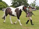 Image 208 in BECCLES AND BUNGAY RIDING CLUB OPEN SHOW. 17 JUNE 2018