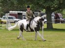 Image 209 in BECCLES AND BUNGAY RIDING CLUB OPEN SHOW. 17 JUNE 2018