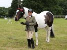 Image 21 in BECCLES AND BUNGAY RIDING CLUB OPEN SHOW. 17 JUNE 2018
