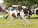 Image 210 in BECCLES AND BUNGAY RIDING CLUB OPEN SHOW. 17 JUNE 2018