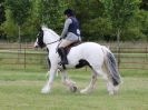 Image 211 in BECCLES AND BUNGAY RIDING CLUB OPEN SHOW. 17 JUNE 2018