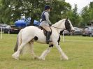 Image 212 in BECCLES AND BUNGAY RIDING CLUB OPEN SHOW. 17 JUNE 2018