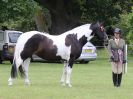 Image 213 in BECCLES AND BUNGAY RIDING CLUB OPEN SHOW. 17 JUNE 2018
