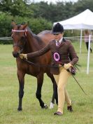 Image 214 in BECCLES AND BUNGAY RIDING CLUB OPEN SHOW. 17 JUNE 2018