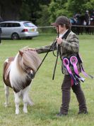 Image 215 in BECCLES AND BUNGAY RIDING CLUB OPEN SHOW. 17 JUNE 2018