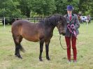 Image 216 in BECCLES AND BUNGAY RIDING CLUB OPEN SHOW. 17 JUNE 2018