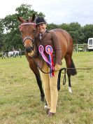 Image 217 in BECCLES AND BUNGAY RIDING CLUB OPEN SHOW. 17 JUNE 2018