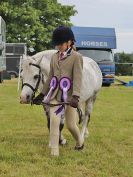 Image 219 in BECCLES AND BUNGAY RIDING CLUB OPEN SHOW. 17 JUNE 2018