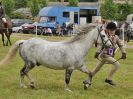 Image 220 in BECCLES AND BUNGAY RIDING CLUB OPEN SHOW. 17 JUNE 2018