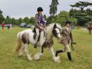 Image 221 in BECCLES AND BUNGAY RIDING CLUB OPEN SHOW. 17 JUNE 2018