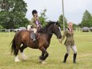 Image 222 in BECCLES AND BUNGAY RIDING CLUB OPEN SHOW. 17 JUNE 2018