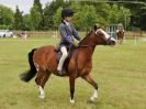 Image 223 in BECCLES AND BUNGAY RIDING CLUB OPEN SHOW. 17 JUNE 2018