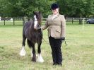 Image 23 in BECCLES AND BUNGAY RIDING CLUB OPEN SHOW. 17 JUNE 2018