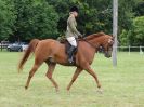 Image 230 in BECCLES AND BUNGAY RIDING CLUB OPEN SHOW. 17 JUNE 2018