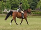 Image 232 in BECCLES AND BUNGAY RIDING CLUB OPEN SHOW. 17 JUNE 2018